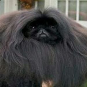 Meet your Posher, Keith